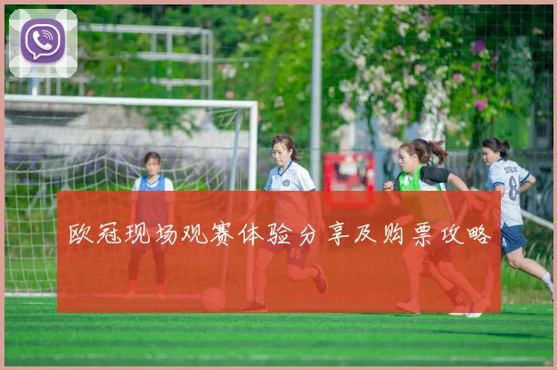 欧冠现场观赛体验分享及购票攻略